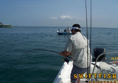 tampa fishing charters
