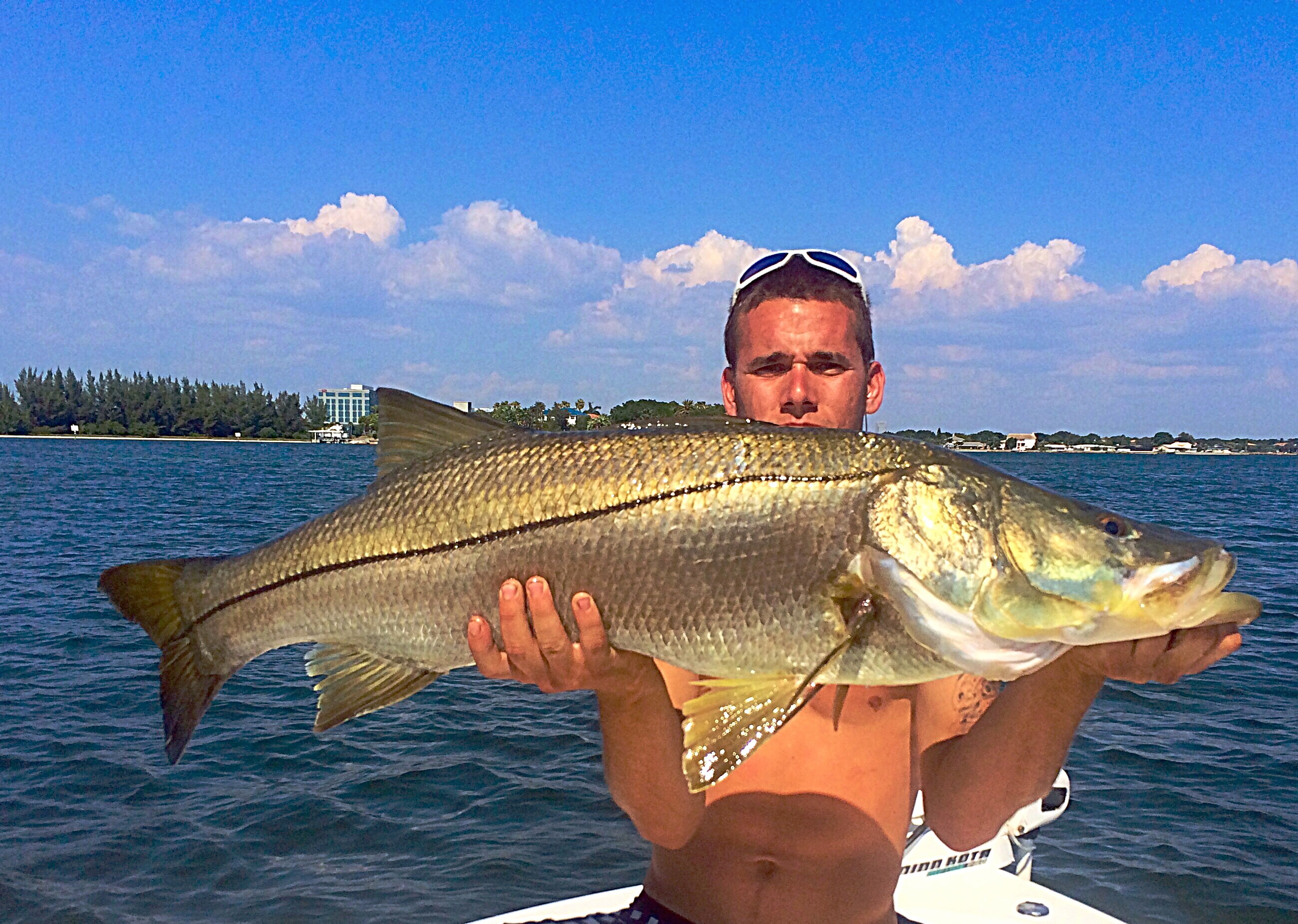 Tampa Bay Fishing Charters