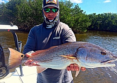 Fishing charters Tampa Bay