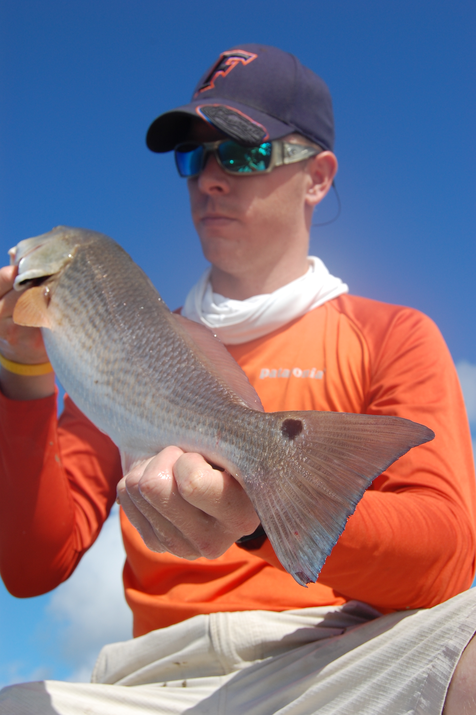 South Tampa Fishing charters