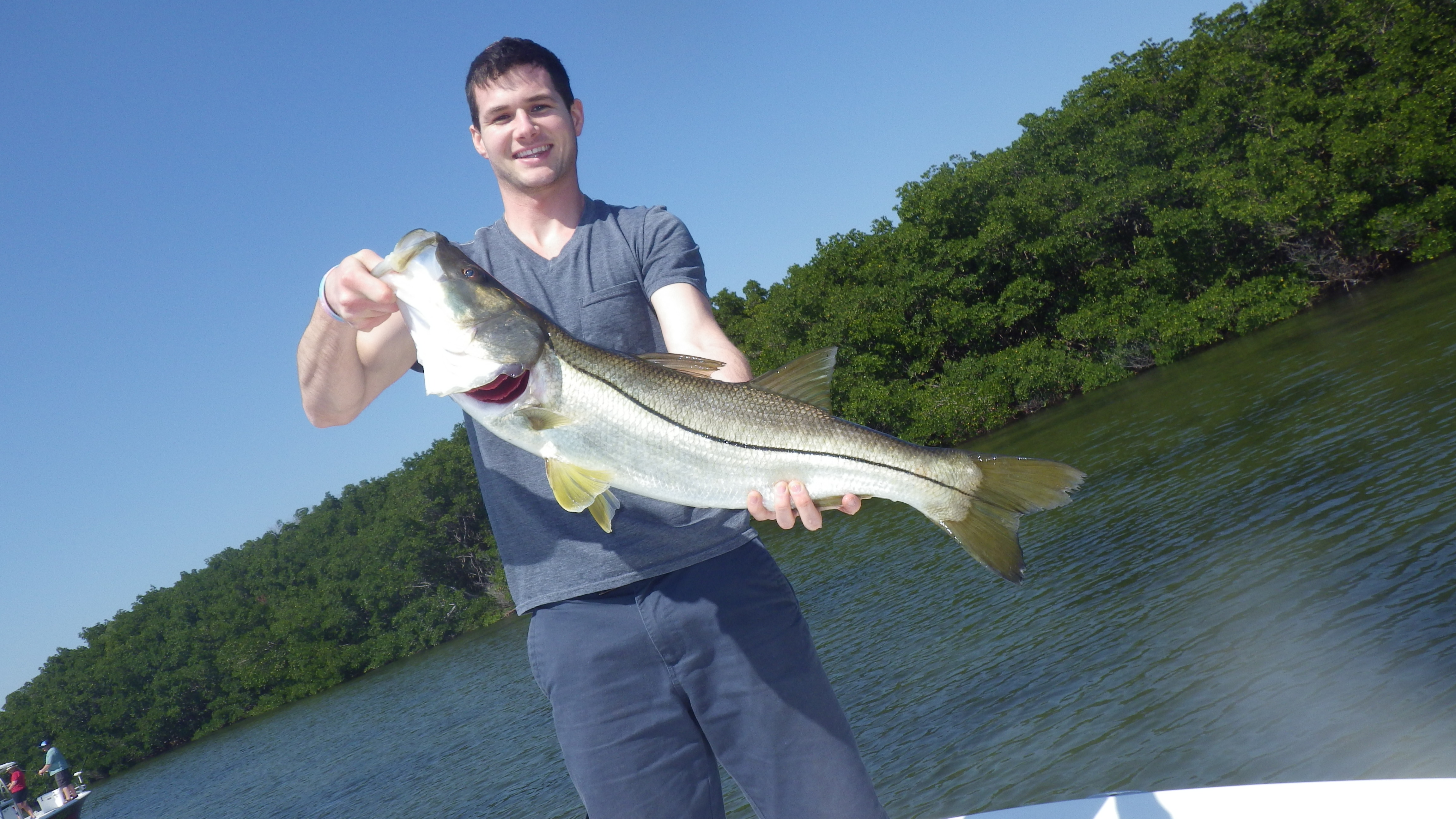 south tampa fishing charters, clearwater fishing charters, tampa fishing charters, tampa bay fishing charters, fishing charters tampa, fishing charters,