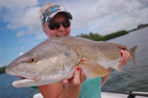 Redfishing Tampa Bay