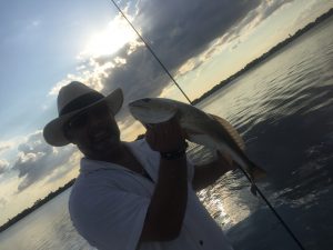 tampa fishing charters