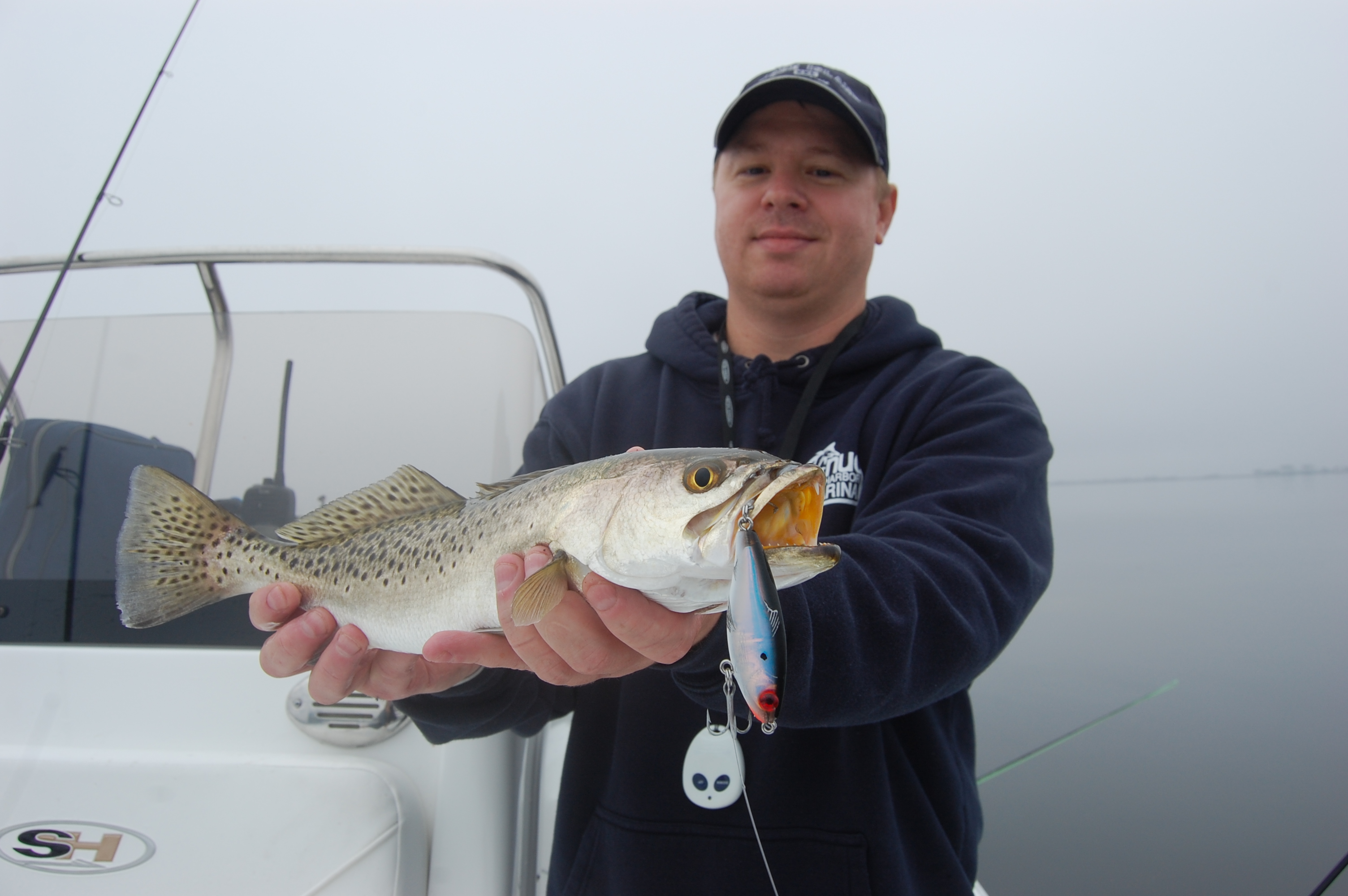 things to do in tampa, Fishing Charters Tampa, South Tampa Fishing Charters, Tampa Fishing charters, Tampa Bay Fishing Chartes