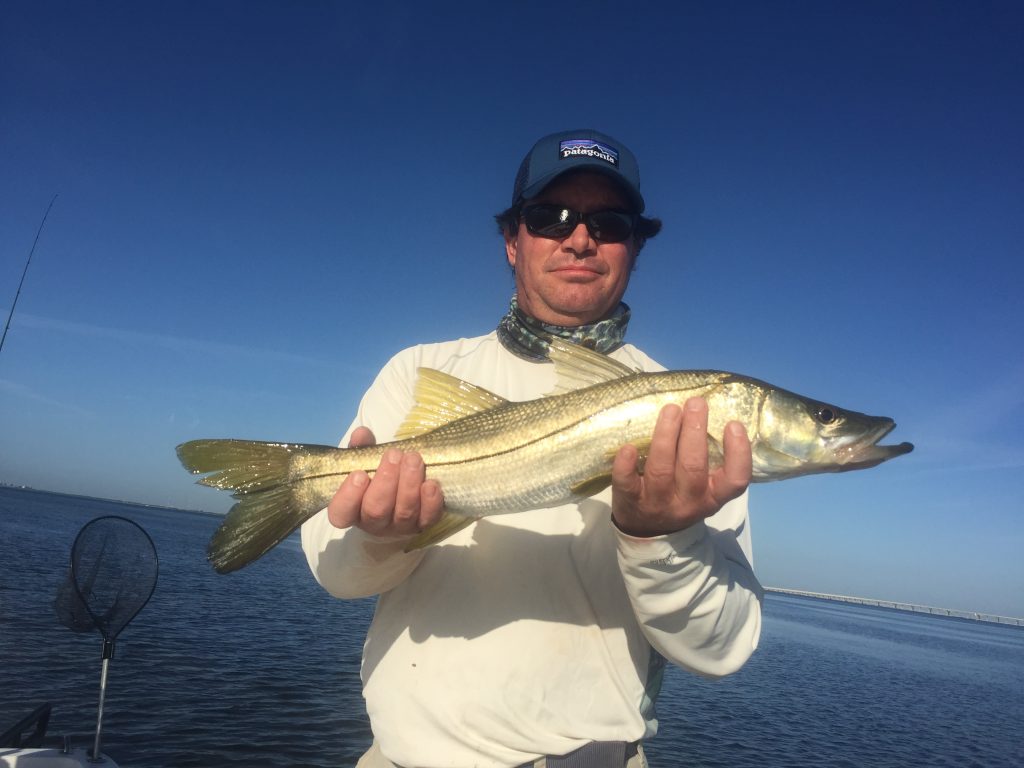 Tampa Snook Fishing , Fishing Tampa Bay, Tampa Fishing Charters, Fishing Charters Tampa, Tampa Bay Fishing Charters, Tampa Fishing Guides