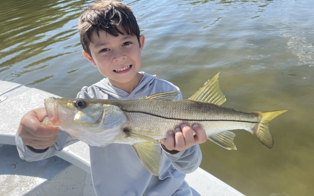 Tampa Bay Fishing Charters  Recent Report