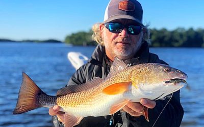 Tampa Bay Fishing Report/ Tampa Bay Fishing Charters