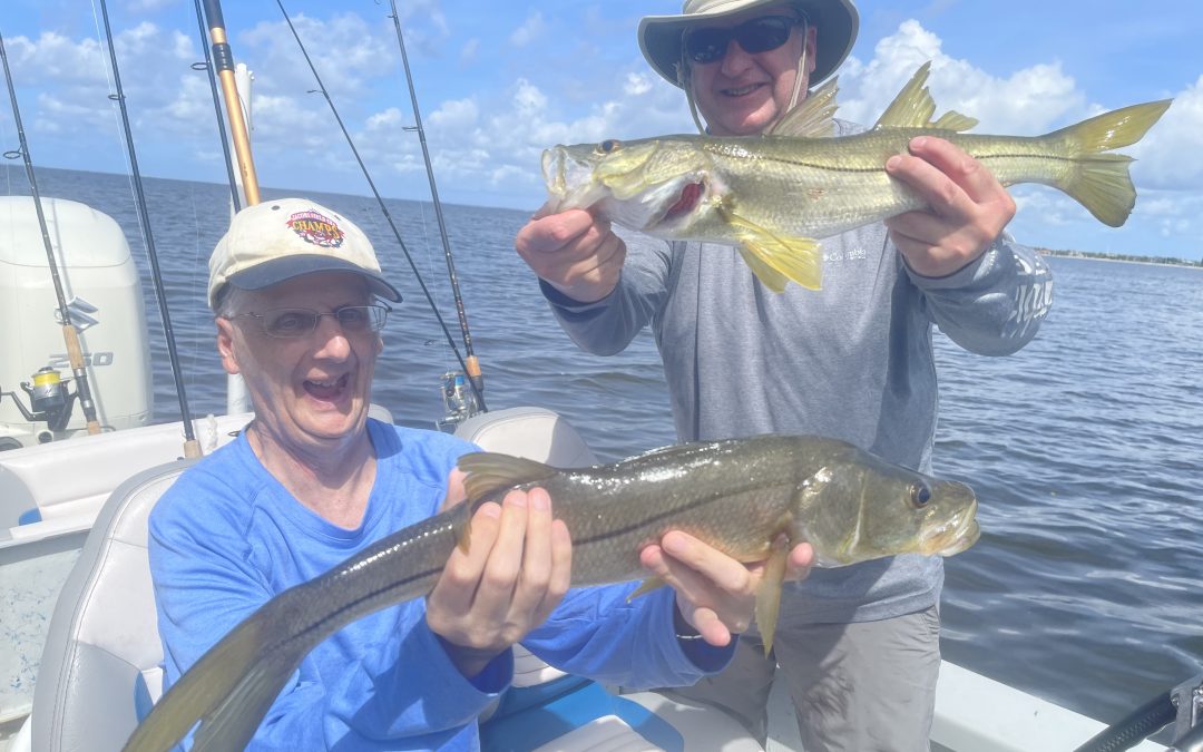 St Pete / Tampa Fishing Charters