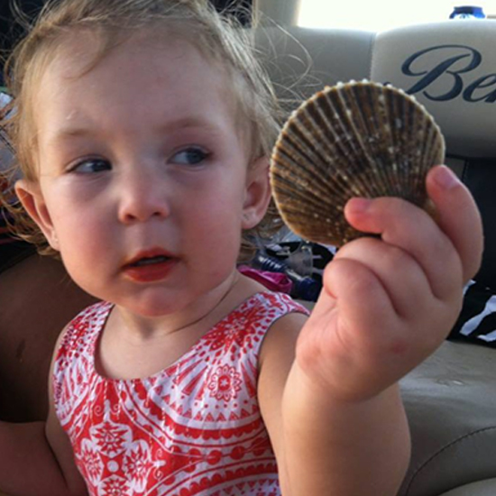 Scalloping in Homosassa Scallop Charters